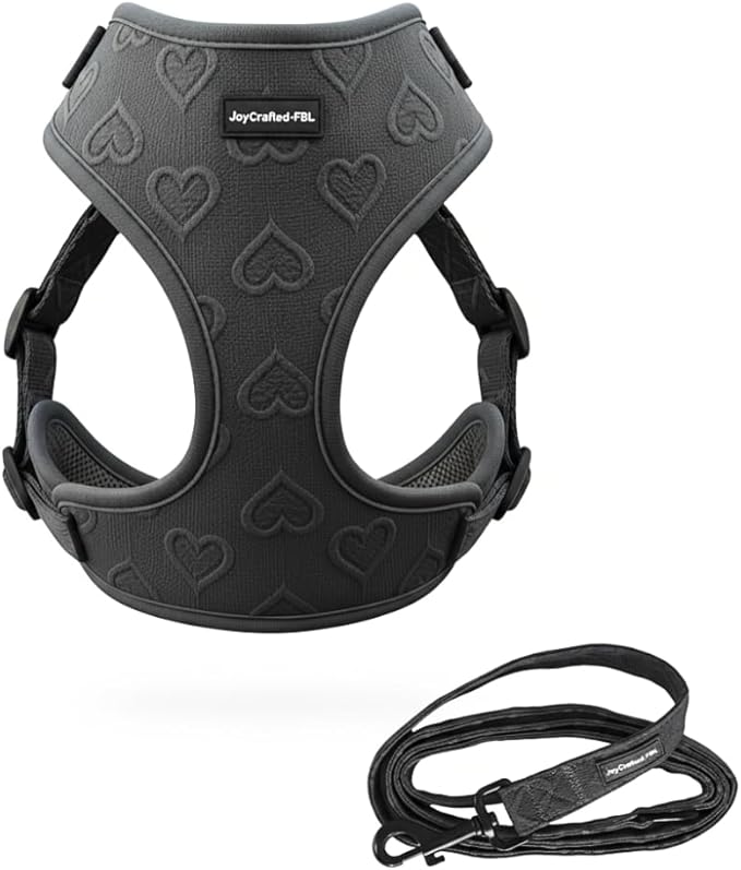 No-Pull, No-Choke Dog Harness & Leash Set – Stylish & Fun – Lightweight, Breathable Neoprene – Unique Heart Pattern – Adjustable for Extra Small to Medium Dogs (Harness Leash Set-Black, X-Small)