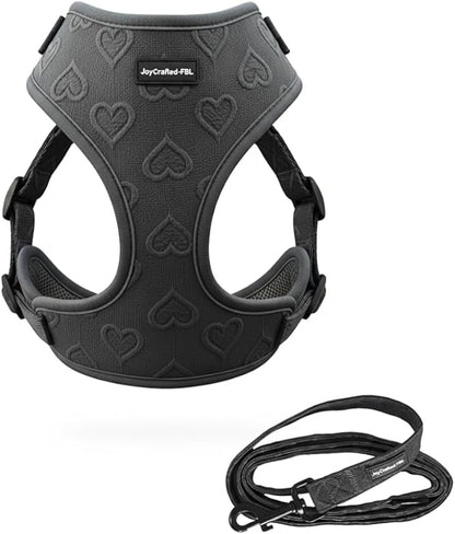 No-Pull, No-Choke Dog Harness & Leash Set – Stylish & Fun – Lightweight, Breathable Neoprene – Unique Heart Pattern – Adjustable for Extra Small to Medium Dogs (Harness Leash Set-Black, XX-Small)