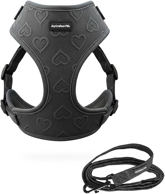 No-Pull, No-Choke Dog Harness & Leash Set – Stylish & Fun – Lightweight, Breathable Neoprene – Unique Heart Pattern – Adjustable for Extra Small to Medium Dogs (Harness Leash Set-Black, L-Large)