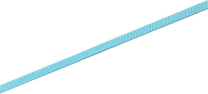 Nylon Dog Leash 4 Ft 5 Feet 6 Foot Long, Walking Training Dog Leashes for Medium Large Dogs, 1 Inch Wide(6ft,Blue)