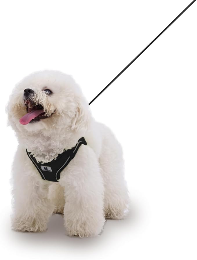 Adjustable Dog Harness with Leash, Reflective Mesh, No-Pull Design，Matching Lead Rope (Black, S)
