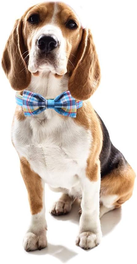 Unique style paws Plaid Dog Collar with Bow Pet Gift Adjustable Soft and Comfy Bowtie Collars for Small Medium Large Dogs (XS)