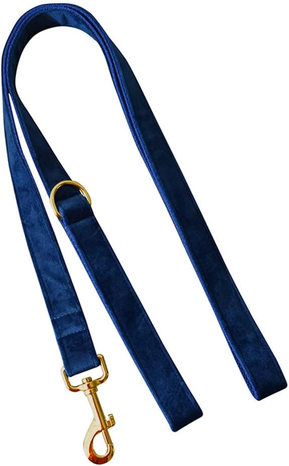 JAY D.L Dog Collar and Leash Set，Soft & Comfy Velvet Dog Collars with Heavy Duty Metal Buckle and Matching Lead Adjustable for Small Medium Large Dogs (Medium, Royal Blue)