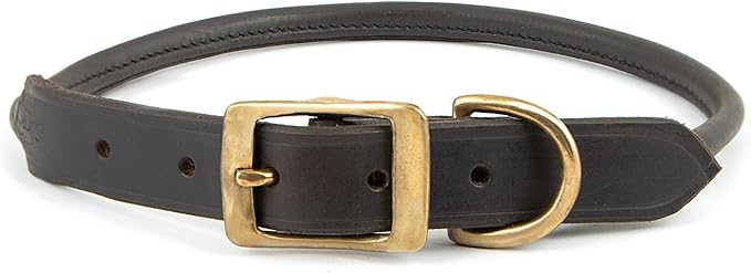 Jeffers Rolled Leather Dog Collar with Brass Hardware, Chestnut Brown - Safe Leather Design, Durable Brass Hardware, Adjustable Round Collar for Long Fur Dogs, Pairs with Leash, 5/8" W x 11" L