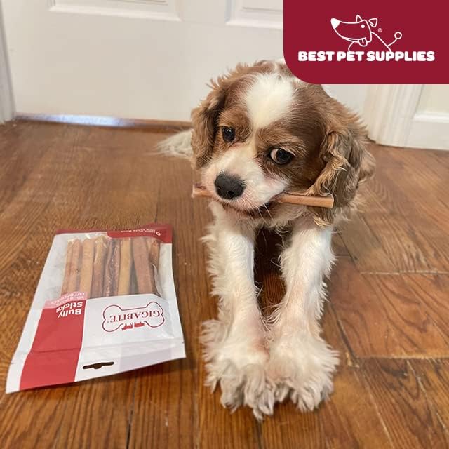 GigaBite Single Ingredient All Natural Free Range Bully Treats and Chews - Bully Sticks/Bladder Sticks/Beef Esophagus by Best Pet Supplies - Bully Sticks (Regular 6"), Pack of 8
