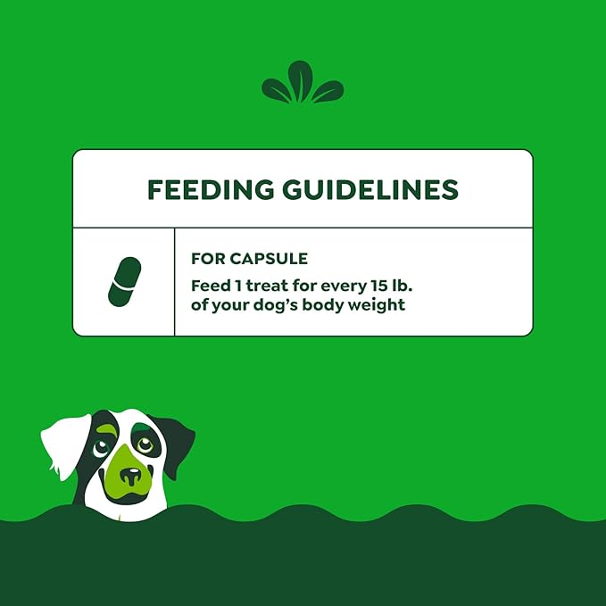 Greenies Pill Pockets for Dogs, Large Size Soft Dog Treats, Peanut Butter Flavor, (6) 7.9 oz. Pouches