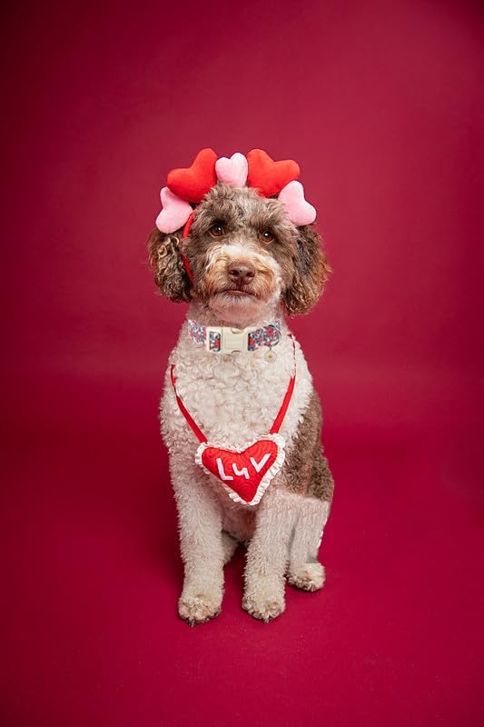 Lionet Paws Floral Dog Collar- Cute Red Pink Flower Dog Collars with Plastic Buckle, Light Adjustable Dog Collars for Small Dogs