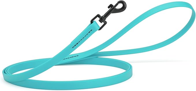 Dogline Biothane Waterproof Dog Leash Strong Coated Nylon Webbing with Black Hardware Odor-Proof Easy to Clean High Performance for Small or Large Dogs Made in USA 4 or 6 ft Lead, Sky Blue