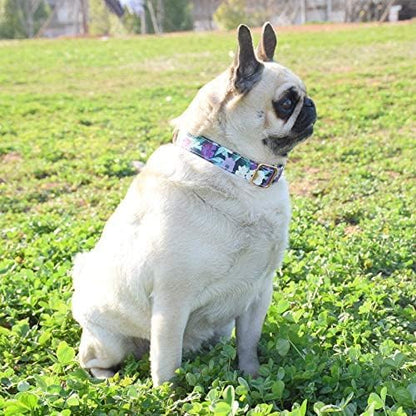 Metal Buckle Dog Collar, Durable Adjustable Dog Collar Soft for Small Medium Large Dogs