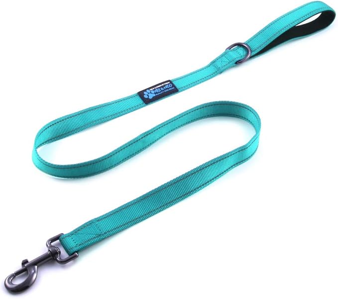 Max and Neo Small Dog Leash - Reflective Nylon, Donates to Dog Rescue (Teal, 4x5/8)
