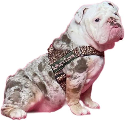 BULLHUG Adjustable Dog Harness– No Pull, No Choke – for English Bulldogs, French Bulldogs, Pugs & Broad-Chested Breeds – Easy, Safe Walks (Leopard, Large)