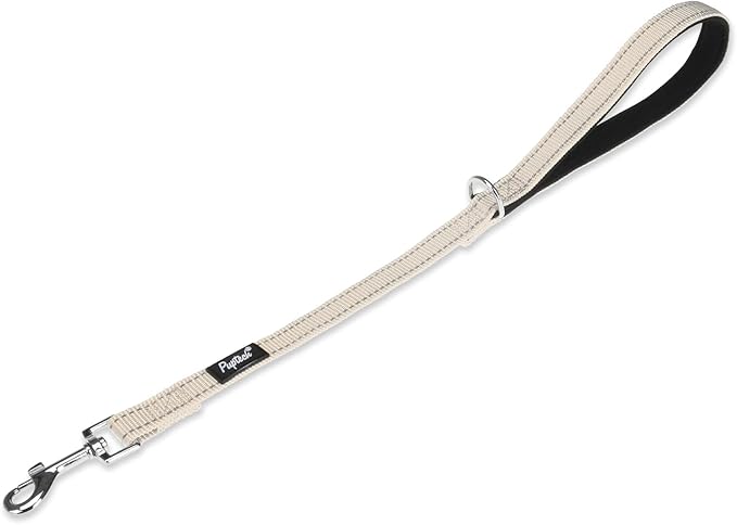 PUPTECK Reflective Dog Leash with Comfortable Padded Handle Durable Nylon Dog Lead for Small Medium and Large Dogs Cats Walking Running Training Outside, Beige