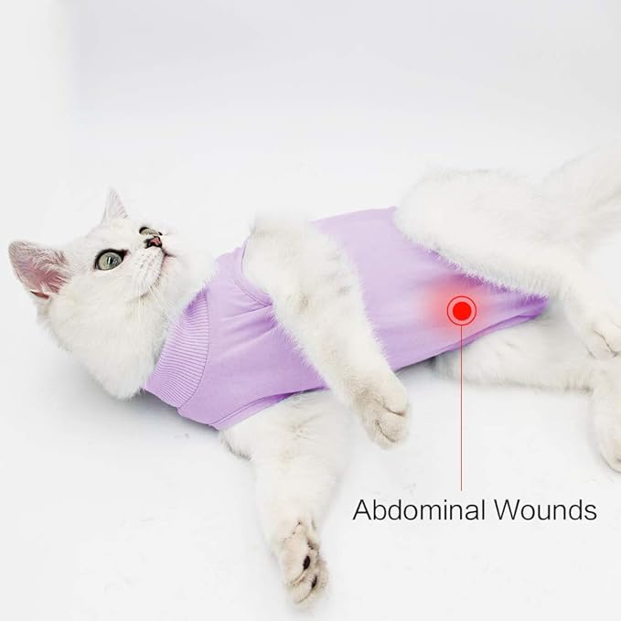 DOTON Cat Recovery Suit for Male and Female Surgical Post Surgery Soft Cone Onesie Shirt Clothes Neuter Licking Protective Diapers Outfit Cover Kitten Spay Collar(M, Purple)
