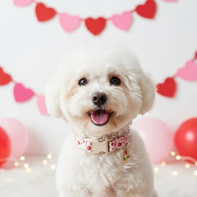 Valentines Dog Collar, Girl Dog Collars with Valentines Day Pattern, Cute Pet Collar with Soft Fabric and Quick Release Buckle, Adjustable for Extra Small, Small, Medium & Large Dogs