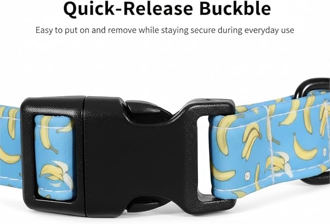 Dog Collar, Cute Banana Fruit Pattern, Spring Summer Design for Small Medium Large Dogs, S