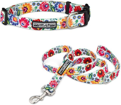 Lucky Love Dog - Easy Click Buckle Dog Collar with Leash Set Combo, Durable & Comfortable for Male & Female Dogs, Pet Collar for Small Dogs, Secure Fit - Ladybird Combo, XS