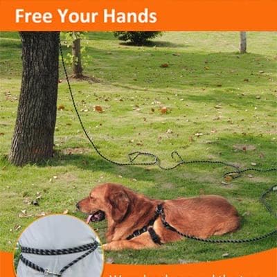 Extra Long 100FT Reflective Dog Leash for Training, Heavy Duty for Large, Medium, Small Dogs - Walking, Playing, Camping, Yard