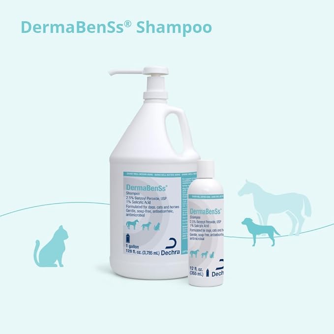 DermaBenSs Shampoo for Dogs, Cats and Horses, 12 Ounce