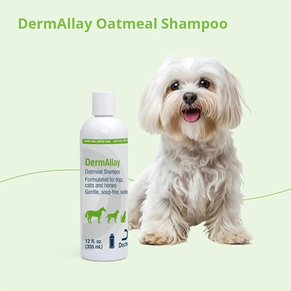 DermAllay Oatmeal Shampoo, 12 Ounce