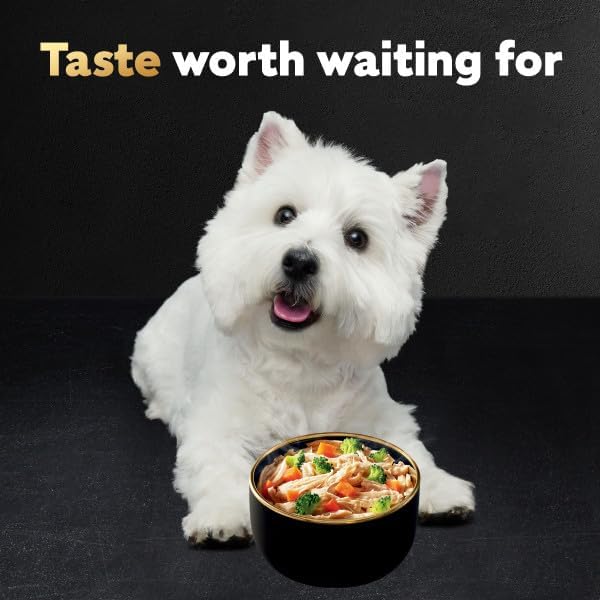 Cesar Warm Bowls Wet Dog Food Variety Pack: Chicken & Beef; and Chicken Entrees, Wet Food for Dogs, 2.7 oz Bowls, 6 Count (Pack of 2)