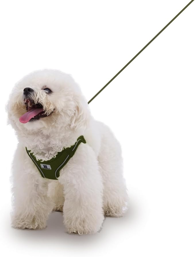 Adjustable Dog Harness with Leash, Reflective Mesh, No-Pull Design，Matching Lead Rope (Army Green, XXXS)