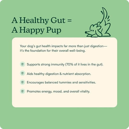 Reggie Pumpkin Probiotic Powder for Dogs | 7-Strain Probiotics + Pumpkin for Gut Health, Digestion & Stool Consistency | Natural Dog Digestive Supplement | Vet-Approved & Made in USA | 40 Scoops