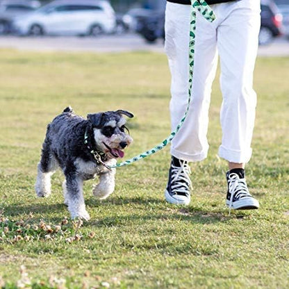 azuza Dog Collar and Leash Set, Fun Avocado Patterns on Nylon Collar and Matching Leash, Great Option for Large Dogs