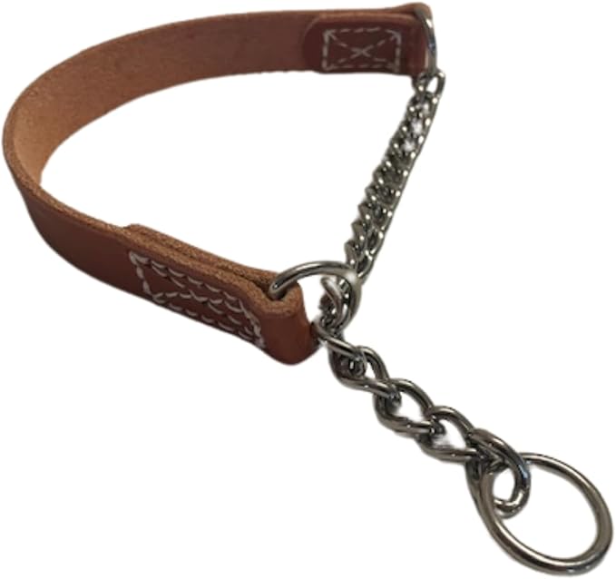 Joel Silverman's Patented Alternative Training Collar (Medium II) - Alternative to a Martingale and Pinch Collar!