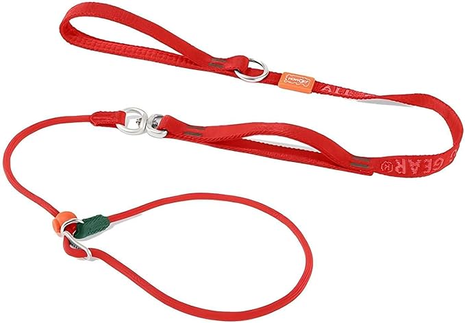 Howgo Dog Slip Lead Dog Leash, Training Leash, No-Pull Lightweight Slip Lead and Collar, Heavy Duty & Durable, Padded Handle, for All Breeds (Red, 5FT)