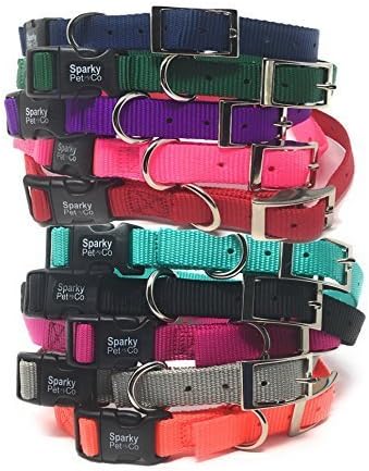 Sparky Pet Co - ECollar Replacement Strap - Easy Release Double Buckle Dog Collar - Rugged Nylon - Adjustable - D Ring - Quick Release Metal Clasp - for Invisible Fence Systems - 1" x 28" - Teal