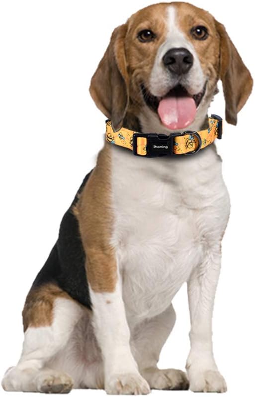 Ihoming Dog Collar and Leash Set for Daily Outdoor Walking Running Training, Bee Design for Large Boys Girls Dogs Cats Pets, L-Up to 80LBS