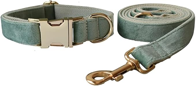 JAY D.L Dog Collar and Leash Set，Soft & Comfy Velvet Dog Collars with Heavy Duty Metal Buckle and Matching Lead Adjustable for Small Medium Large Dogs (Medium, Mint Green)