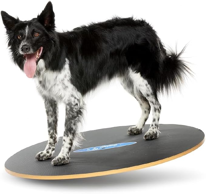 FitPaws Wobble Board - Dog Balance Training Equipment for Core Strength & Stability Canine Fitness & Rehabilitation Tool