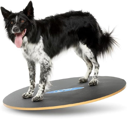 FitPaws Wobble Board - Dog Balance Training Equipment for Core Strength & Stability Canine Fitness & Rehabilitation Tool
