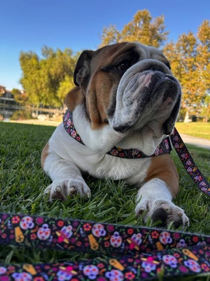 BULLHUG 6 FT Bulldog Leash with Padded Handle. Perfect for Bulldogs, French Bulldogs, Pugs & All Breeds. Leashes for Walking, Training Lead for Bulldogs (Reflective Stitching, Purple)