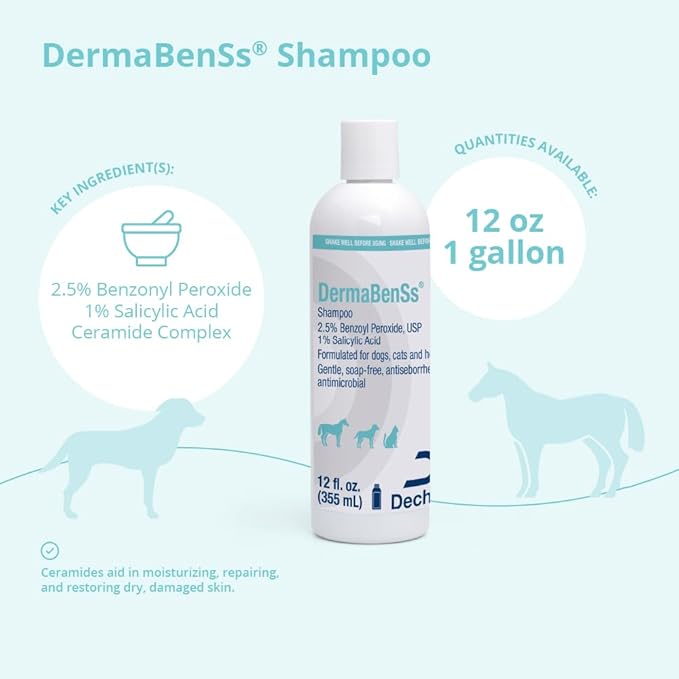 DermaBenSs Shampoo for Dogs, Cats and Horses, 12 Ounce