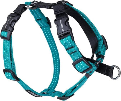 Wildebeest Valencia No Pull Dog Harness | Front and Back Leash Clips | Soft Padded Straps | Lightweight, Adjustable, Easy On/Off for Training and Dog Walking | Large Turquoise