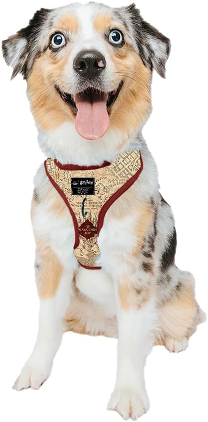 Sassy Woof Dog Adjustable Harness - Harry Potter™ Marauder's Map™ - M, Breathable Mesh, No Pull Design with Two D-Rings, Perfect for Medium Dogs - Officially Licensed