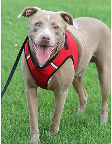 THE WORTHY DOG Step-in Dog Harness for Small Dogs, Comfortable Mesh, Reflective, Strong Hook and Loop Closure, Quick Release Buckle, Red, Small