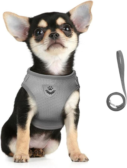 FEimaX Dog Harness and Leash Set for Walking, Soft Mesh Adjustable Easy Control Lightweight Cat Vest Harnesses with Reflective Strips, Escape Proof Small Dogs Cats Vests (Grey, X-Large)