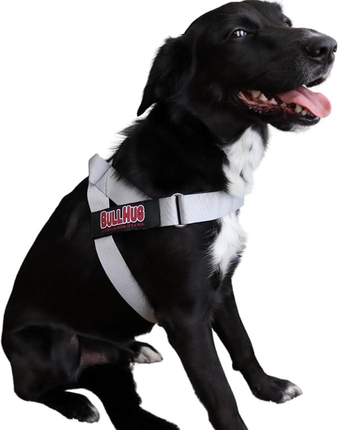 BULLHUG Adjustable Dog Harness– No Pull, No Choke – for English Bulldogs, French Bulldogs, Pugs & Broad-Chested Breeds – Easy, Safe Walks (Silver, Small)