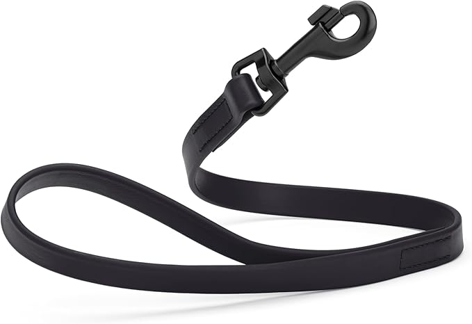 Dogline Biothane Waterproof Dog Leash Strong Coated Nylon Webbing with Black Hardware Odor-Proof Easy to Clean High Performance for Small or Large Dogs Made in USA 2 ft Lead, Black
