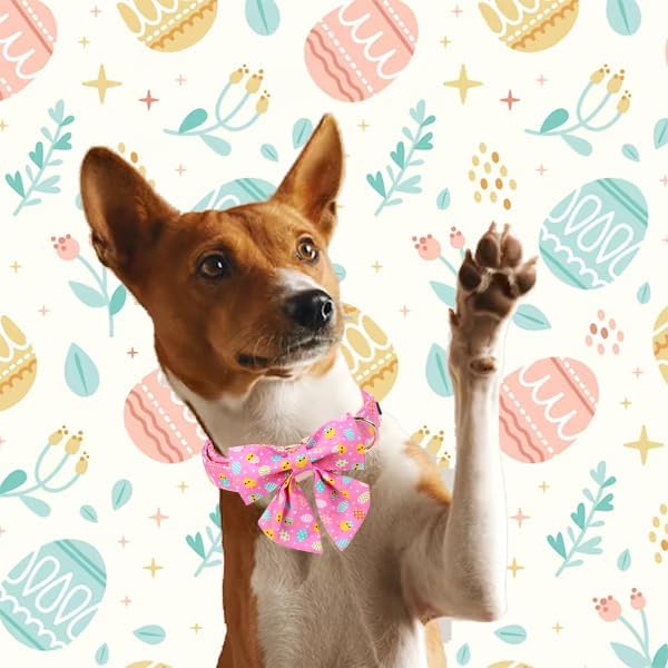 Unique style paws Easter Dog Collar with Bow Easter Eggs Chicken Collar with Flower for Small Medium Large Boys Girls Dogs