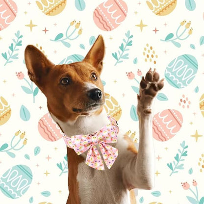 Unique style paws Easter Dog Collar with Bow Easter Eggs Chicken Collar with Flower for Small Medium Large Boys Girls Dogs