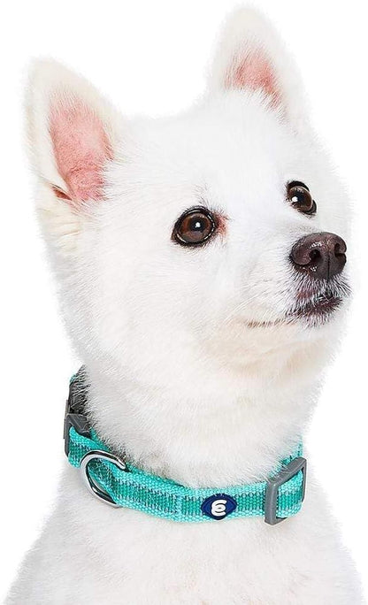 Blueberry Pet Essentials Matching Small Dog Collar | Adjustable Classic Solid Color Nylon Dog Collars for Small Dogs | Reflective Minty Green Dog Collar for Small Dogs