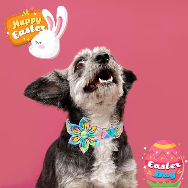 Unique style paws Easter Dog Collar with Bow Easter Eggs Chicken Collar with Flower for Small Medium Large Boys Girls Dogs