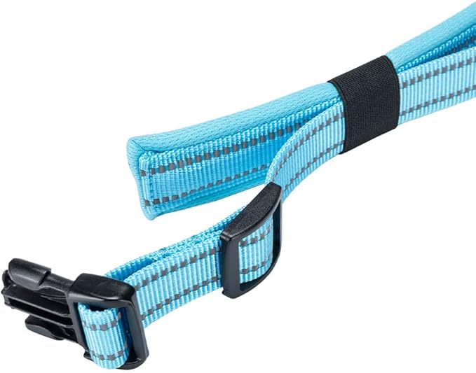 EXCELLENT ELITE SPANKER Reflective Dog Collar Classic Soft Padded Breathable Nylon Adjustable Pet Collar with Quick Release Buckle for Boy Girl Male Female Small Medium Large Dogs Training(LBLU-S)