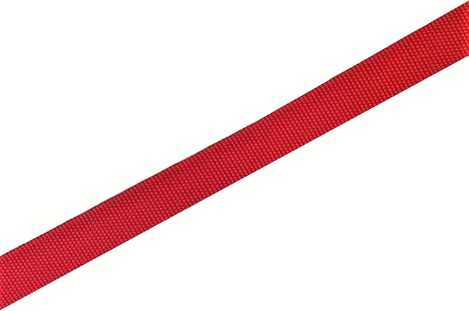 TAIAN 4FT/5FT/6FT Strong Dog Leash, Nylon Dog Leashes for Small Medium Large Dogs (1 in x 5 ft, Red)