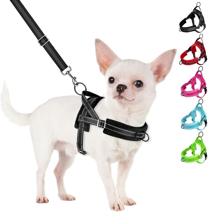 SlowTon No Pull Small Dog Harness and Leash Set, Puppy Soft Vest Harness Neck & Chest Adjustable, Reflective Lightweight Harness & Anti-Twist Pet Lead Combo for Small Medium Dogs(B,L)