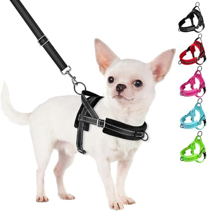 SlowTon No Pull Small Dog Harness and Leash Set, Puppy Soft Vest Harness Neck & Chest Adjustable, Reflective Lightweight Harness & Anti-Twist Pet Lead Combo for Small Medium Dogs(B,L)